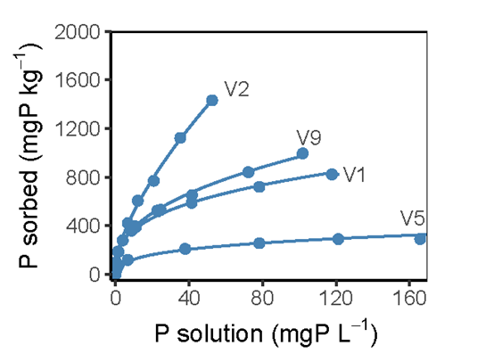 Line graph showing sorption curves for selected vertosols fitted using a non-linear regression model based on a Freundlich equation