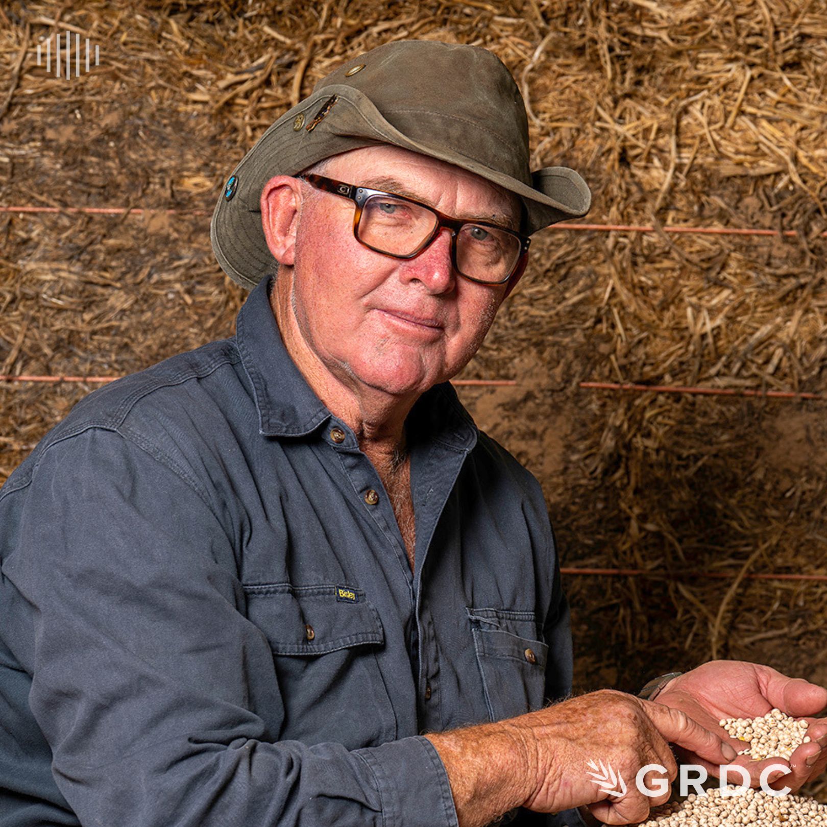 Legume Leaders – Ed Naisbitt: getting the most from your lupin crop