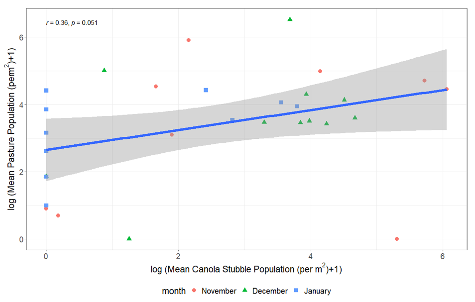 Graph showing the correlation between the mean population of Rutherglen bug per m2 on pasture weeds vs nearby canola stubble by site, in each of November, December and January.