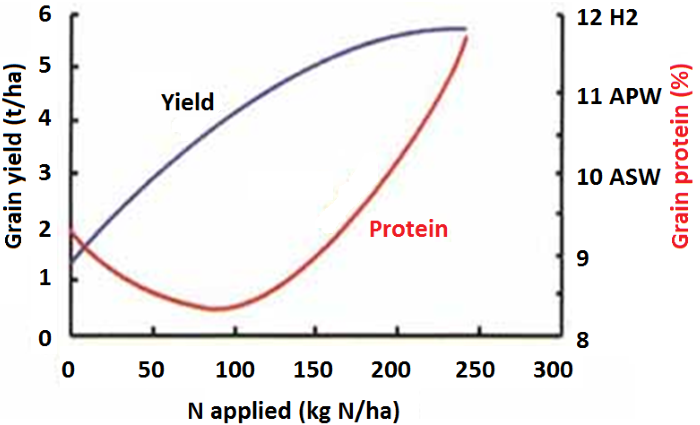 Plot graph showing Protein/Nitrogen/Yield Optimization