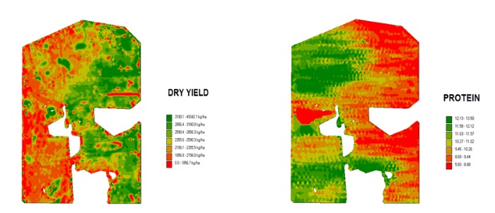 Heat map showing Protein levels for a field of Wheat