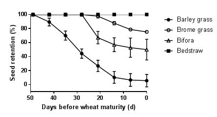 Line graph showing Seed retention of brome grass (hollow circle) relative to barley grass (solid circle), bifora (hollow triangle) and bedstraw (solid square) in relation to wheat maturity (≤12% grain moisture content) at Roseworthy in 2016. Bars show ± SE.
