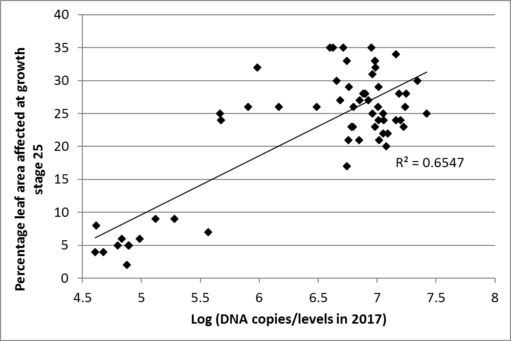 Figure 6 is a scatter graph showing percentage leaf area affected by yellow leaf spot at growth stage 25 versus pre-sowing log (DNA copies/g soil), Longerenong, Victoria in 2017