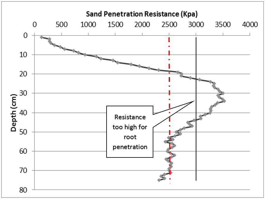 Figure 1. CSIRO Sand Trial Site penetration, Loxton 2015 (Llewellyn, pers. comm.)
