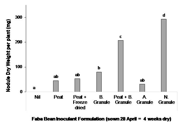 Column bar graph showing the effect of inoculant formulation on nodulation (measured by nodule dry weight per plant at 22 August) of faba bean when sown into dry soil at Wanilla, Eyre Peninsula SA. Different letters above columns indicate significant treatment difference at P<0.05. All inoculants are group F (strain WSM1455) as outlined in Table 1.