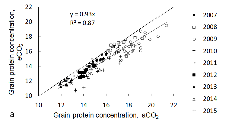 This scatter graph shows reduction in wheat grain protein under ambient CO2 and elevated CO2 conditions across years and environment for cv Yitpi. Less than 20% of this reduction can be explained by ‘dilution’ of N by carbohydrate translocation. The dashed line is the 1:1 (i.e. no response) line.