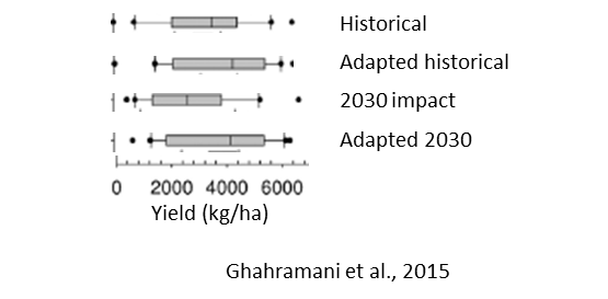 This horizontal box plot illustrates yields (kg/ha) for 2030 for Goondiwindi for: historical (1980 – 1999), adaptation with historical yields, impact to yields in 2030, and with adaptation measures in 2030. Adaptations considered were earlier sowing and longer season cultivars. Means with error bars are shown.