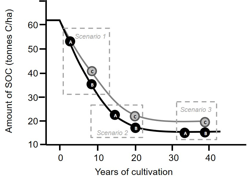 This figure is a schematic graph indicating the differences in SOC stocks ( tonnes/ha) under a management change scenario indicating that: relative differences between management practices (C-B) can result from sequestration of carbon (scenario 3) or an avoided emission (scenario 2); temporal differences (C-A) are dependent on equilibrium state of the soil when the management change was implemented, and will only be positive where sequestration has occurred (scenario 3). Graphic modified from Sanderman and Baldock 2010.