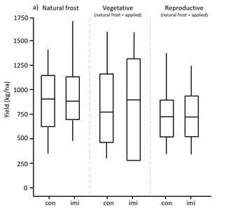 A box and whisker graph of the grain yield response to frost treatments applied at vegetative and reproductive stages of conventional compared and imi-tolerant lentil varieties.