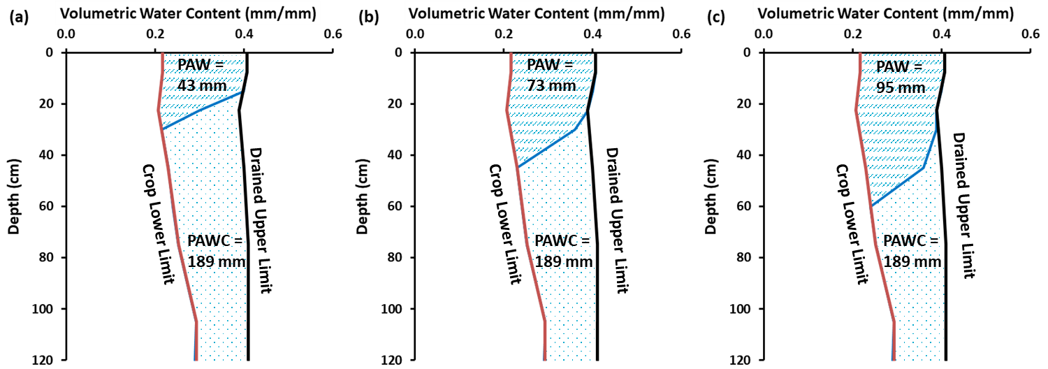 This three figures illustrate how the Plant Available Water Capacity (PAWC) is the total amount of water that each soil type can store and release to different crops and is defined by its Drained Upper Limit (DUL) and its crop specific Crop Lower Limit (CLL); Plant Available Water (PAW) represents the volume of water stored within the soil available to the plant at a point in time. It is defined by the difference between the current volumetric soil water content and the CLL. Three levels of PAW are shown for APSoil No1269 near Gindie, Qld