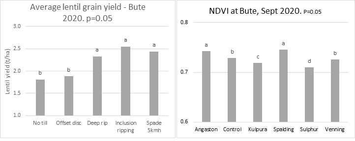 First bar graph shows average lentil grain yield following soil modification and second bar graph shows normalised difference vegetation index (NDVI) of lime source trial at Bute in September 2020
