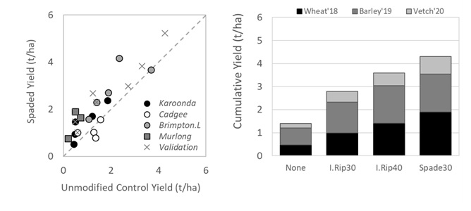 Yield responses in water repellent sands including: a) comparison of unmodified control yields and spaded yields at multi-year research trials (different symbols) and first year validation trials (X); b) cumulative crop yield (t/ha) responses in a severely repellent sand (Murlong) including the unmodified control, inclusion ripping to 30cm or 40cm (I.Rip30, I.Rip40) and spading (spade30). 