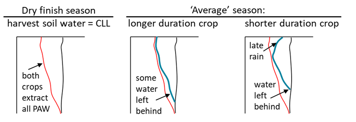 This figure shows how crops with a similar CLL obtained under conditions of a dry finish may leave different amounts of soil water for the next crop in an ‘average’ season due to differences in water use or not using late rain.