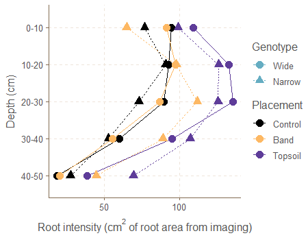 A line graph showing root intensity (root area) of two durum wheat genotypes with contrasting root angle at late tillering