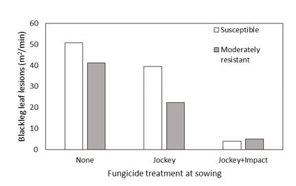 Bar chart showing Effect of fungicide treatment and blackleg resistance on the severity of blackleg leaf lesions in an experiment sown on 29 April at Canowindra, NSW. Leaf lesions were assessed on 19 June, approximately seven weeks after sowing.