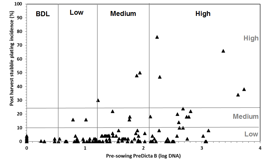 Figure 7. Current population density categories and provisional disease risk categories for Bipolaris sorokiniana. Horizontal lines indicate the disease categories based on plating stubble post-harvest (grey). Vertical lines indicate the boundaries for the current population density categories (black). (BDL = below detection limit)