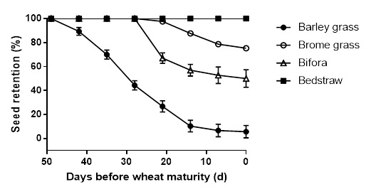 Line graphs indicating seed retention of brome grass (open circle) relative to barley grass (closed circle), bifora (open triangle) and bedstraw (closed square) in relation to wheat maturity (≤12% grain moisture content) at Roseworthy in 2016. Bars show plus and minus standard errors.