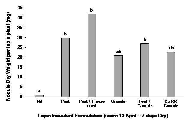 Column bar graph showing the effect of inoculant formulation on nodulation of lupin when sown dry at Farrell Flat, SA (TOS - 13 April with seven days between sowing and sufficient rainfall for germination). Nodule weight per plant was measured on the 13 July. Different letters above columns indicate significant treatment differences at P<0.05. All inoculants are group G (strain WU425) as outlined in Table 1.