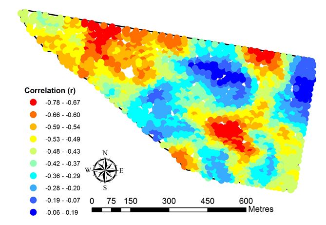 This map shows local correlation between grain yield and grain protein within-field. The spatial pattern could be used to investigate nitrogen and water supply issues.