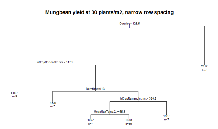This is a regression tree analysis of y=predicted yield of mungbean variety Jade-AU  at 30 plants/m2 for narrow (25 – 40 cm) row spacing and x=environmental descriptors. This is a new way to look at long term multi-site trial data and to identify drivers of yield.