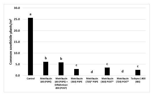 Common sowthistle populations in Group C lentil germplasm (M043). Bars labelled with the same letter are not significantly different (P≤0.05). *Herbicide usage pattern/dose for experimental purpose only.