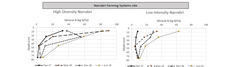 This collection of two line graphs illustrate the distribution of mineral N placement within the soil profile over a long fallow period at Narrabri