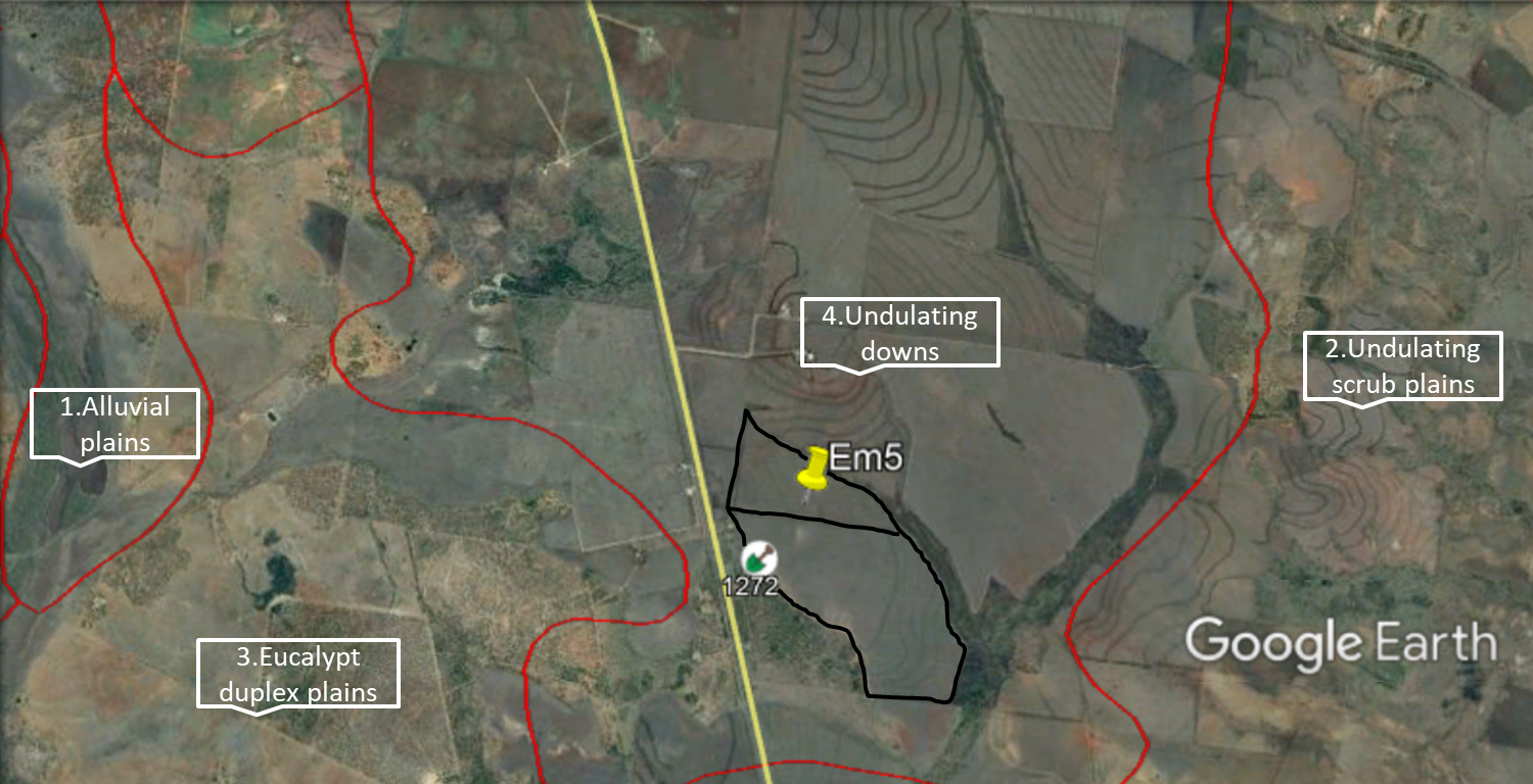 This satellite image shows an example paddock (marked with Em5) located within the ‘Undulating downs’ unit of the Land Resource Areas map for the Central Highlands (accompanying Twaites and Maher (1993) available via Queensland Globe.