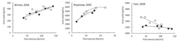Three dot plot graphs can be seen showing the relationships between the established number of plants per square metre and the yield of pulse crops sown either with a conventional cone seeder which is represented by a black dot, or a precision planter, which is represented by a white dot. The first graph shows a lentil crop from from Birchip in 2018. the second graph shows results from a faba bean crop in Rupanyap in and the third graph shows results from a lentil crop in Hart in 2018