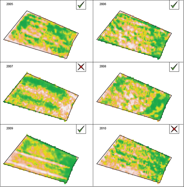 This figure is a series of maps that show the index representing the spatial distribution of crop performance at Sunbury for the years 2005-2010. Green (darker areas) shows relatively good crop performance, beige relatively poor. The tick or cross in the corner of each panel indicates whether the analysis deemed that year to have been cropped or not.