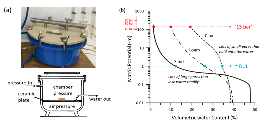 This two part figure shows (a) a photograph and annotated diagram of a pressure plate apparatus, (b) a line graph of water retention curves for different textures (after Cresswell, 2002); water content at 15 bar is greater in a clay soil than in a loam which is greater than a sandy soil.