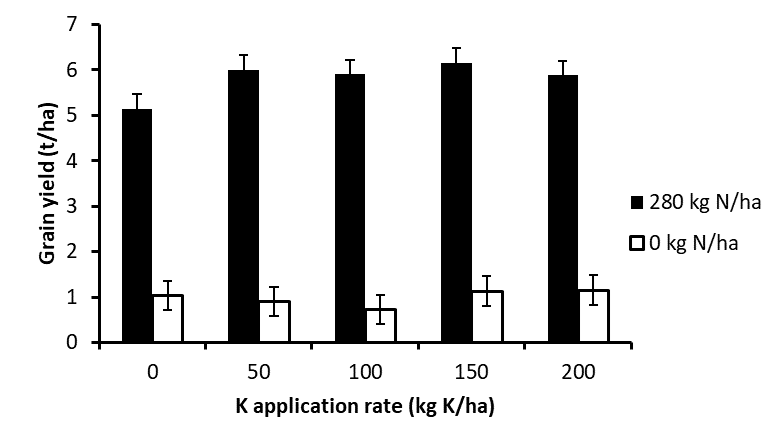 Figure 4. Response of canola to top-dressed urea and potash at Hamilton in 2016 on a site with 160mg/kg of Colwell-extractable K in the top 10cm, and 238kg/ha of KCl extractable nitrate-N in the top 60cm. Error bars indicate the 5% Lsd. 