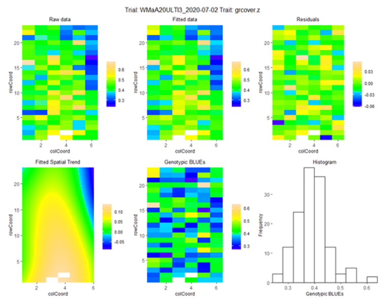 Spatial analysis of ground cover estimate for wheat main season trial, 2 July 2020. The lower left image shows the spatial trend which has been found in the data and has been adjusted in the estimates of the genotype means (the ‘BLUEs’)
