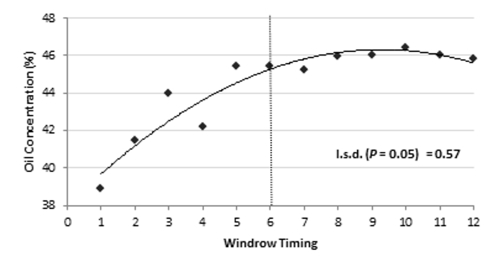 Line graph showing effect of windrow timing (SCC) on oil concentration (%) at Tamworth in 2016 (Vertical line approximates ~40% SCC on the primary stem - WT 6).