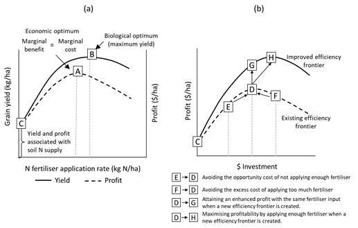 The water use and water use efficiency concept can be extended to the efficiency frontier approach described by Keating et al (2013) (Figure 2). To introduce this approach, the change in grain yield or profit as a function of N fertiliser application rate is presented (Figure 2a).