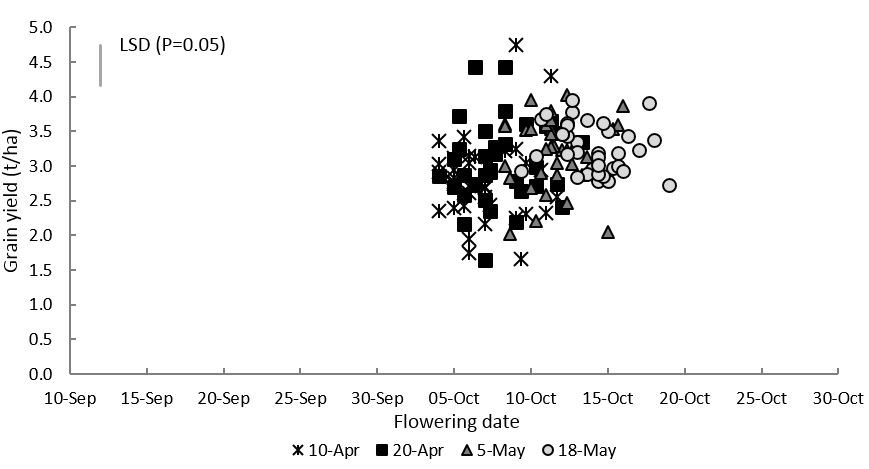 Note: Flowering dates for Wagga Wagga were significantly affected by early stem frost damage.