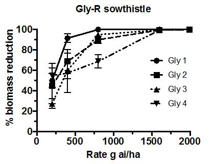 Differences in the level of control between glyphosate products in another key weed species such as glyphosate-resistant milkthistle (sowthistle) from NSW has also been confirmed.