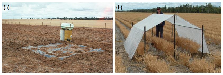 Figure 2 is two photos showing wetting up for drained upper limit determination and also a rainout shelter used for crop lower limit determination.