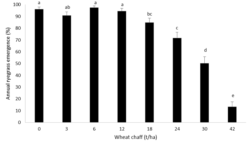 Graph is a column graph showing the emergence of annual ryegrass through wheat chaff at 8 different rates (t/ha) in a pot experiment conducted at Narrabri, NSW