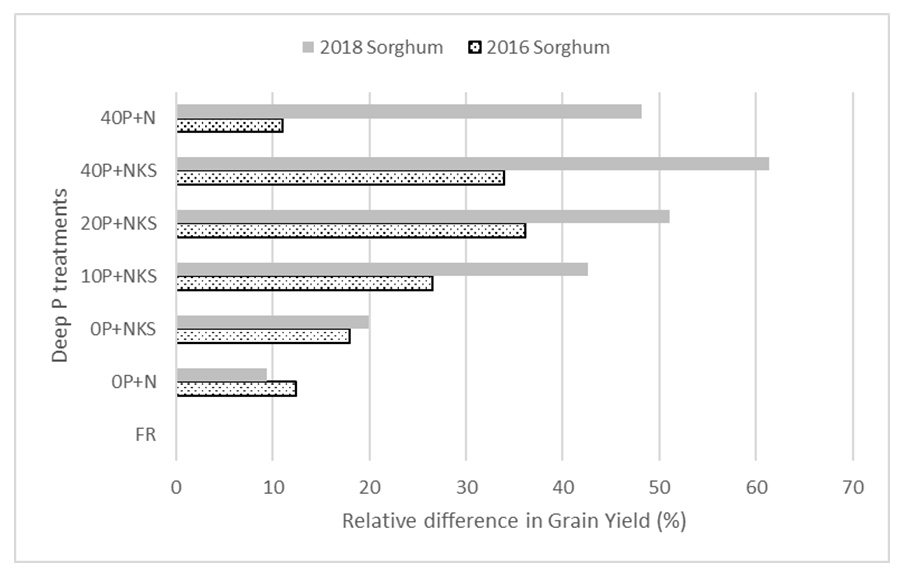 This bar graphs shows the relative differences in grain yields across P treatments as a percentage of the FR baseline across 2016 and 2018 sorghum crops.
