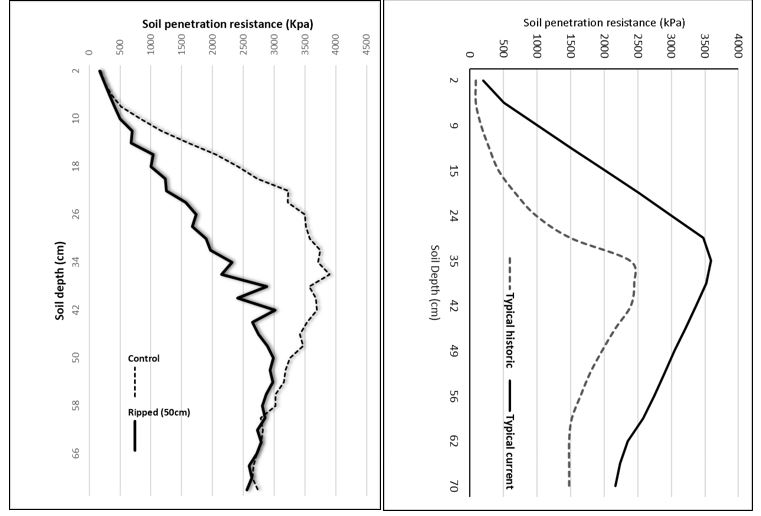 Plots showing penetration resistance for a sandy soil at Loxton, South Australia (SA) on left, and typical historical (1980s) and current soil penetration resistance measures for deep WA sandy soils on right.