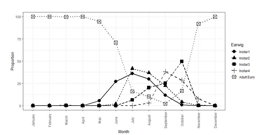 The graph shows the lifecycle of the European earwig in grain crops. This figure shows the combined proportion (percentage) data of each F. auricularia lifestage from two years of sampling at five sites across Victoria and South Australia. Adults are present all year, but juveniles are only present from April to November.