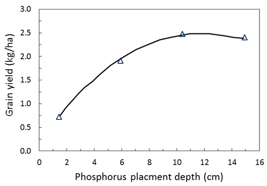 This scatter plot with line of best fit shows the effect of different depths of P placement at sowing on winter wheat yield in Nebraska (McConnell et al 1986).