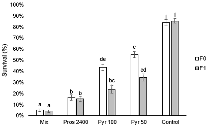 image of annual ryegrass survival