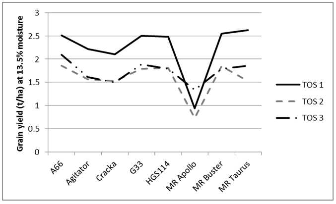 This line graph shows Grain yield at three times of sowing (TOS) at "Ponjola" Moree in 2018-19