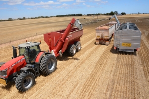 image of harvest