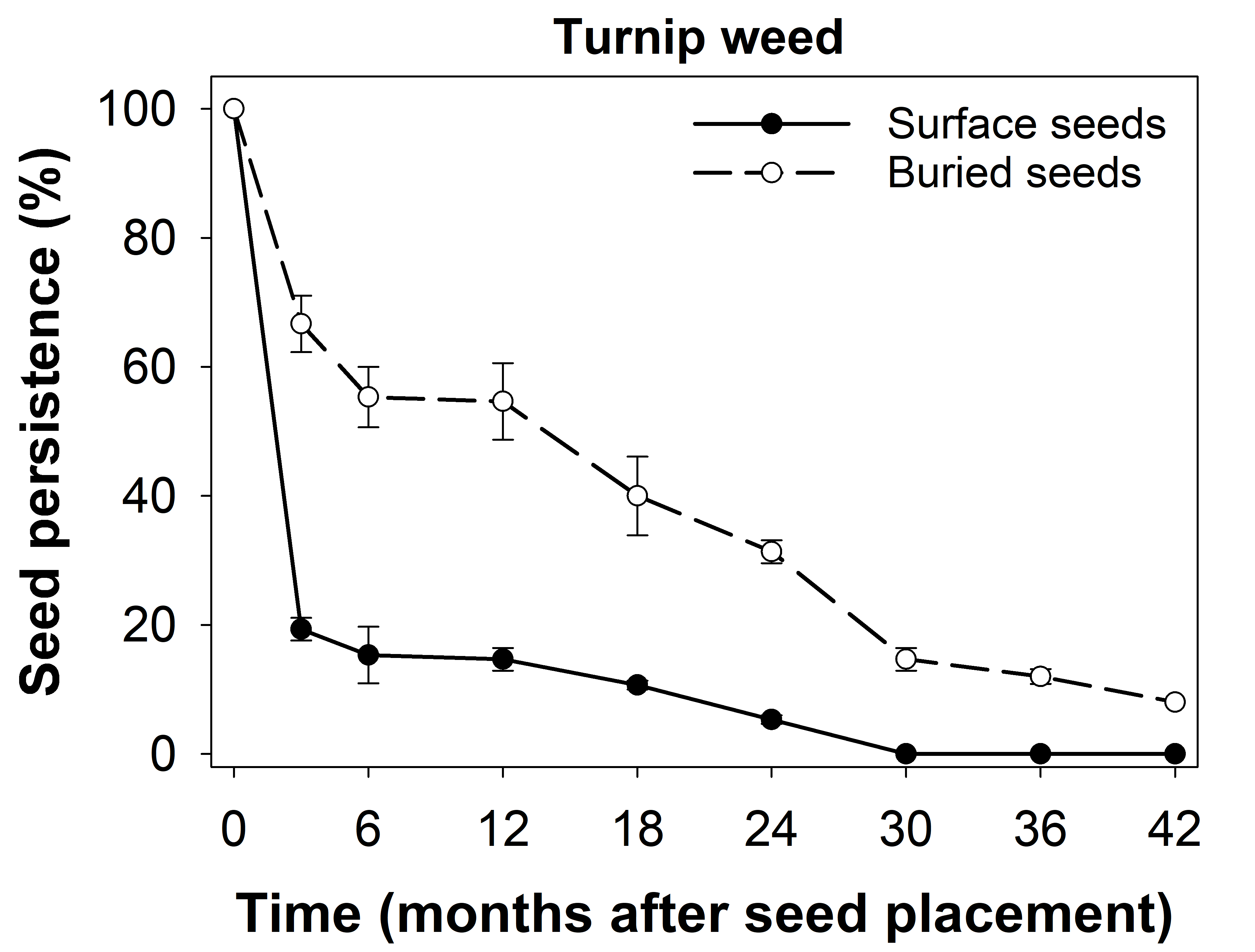 This figure is a line graph with error bars showing persistence of turnip weed seeds placed on the soil surface or buried at 2 cm.