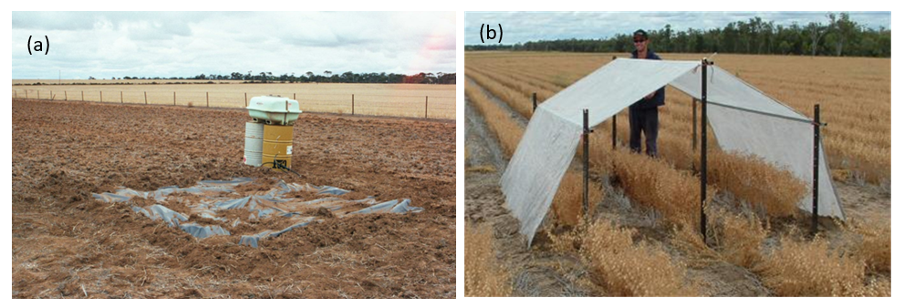This two part figure shows two photographs illustrating the field PAWC characterisation method used in Australia, as described by Burk and Dalgliesh (2013); (a) wetting up for DUL determination and (b) rainout shelter used for CLL determination.