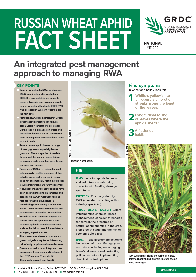 image of russian wheat aphid factsheet cover image
