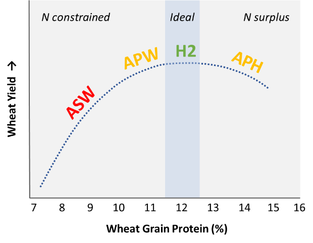 Figure 1 is a stylised line graph showing a generalised representation of the relationship between yield and grain protein concentration in wheat with increasing N supply. Labels refer to grades in the Australian wheat classification system