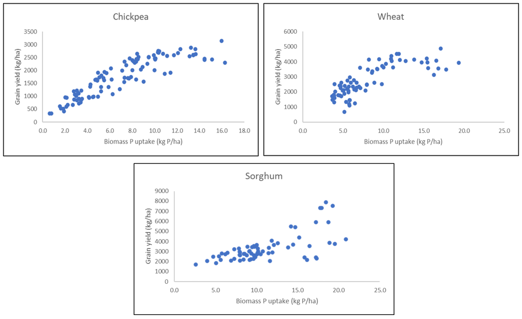 The relationship between biomass P uptake and grain yield for all sites regardless of topsoil P status, and in SQ as well as CQ. All sites had subsoil Colwell P <8 mg P/kg. Higher topsoil P concentrations and wet seasonal conditions resulted in higher crop P uptake and non-linearity in the relationship between P uptake and grain yield in both wheat and chickpeas.
